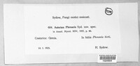 Image Associated With the Occurence